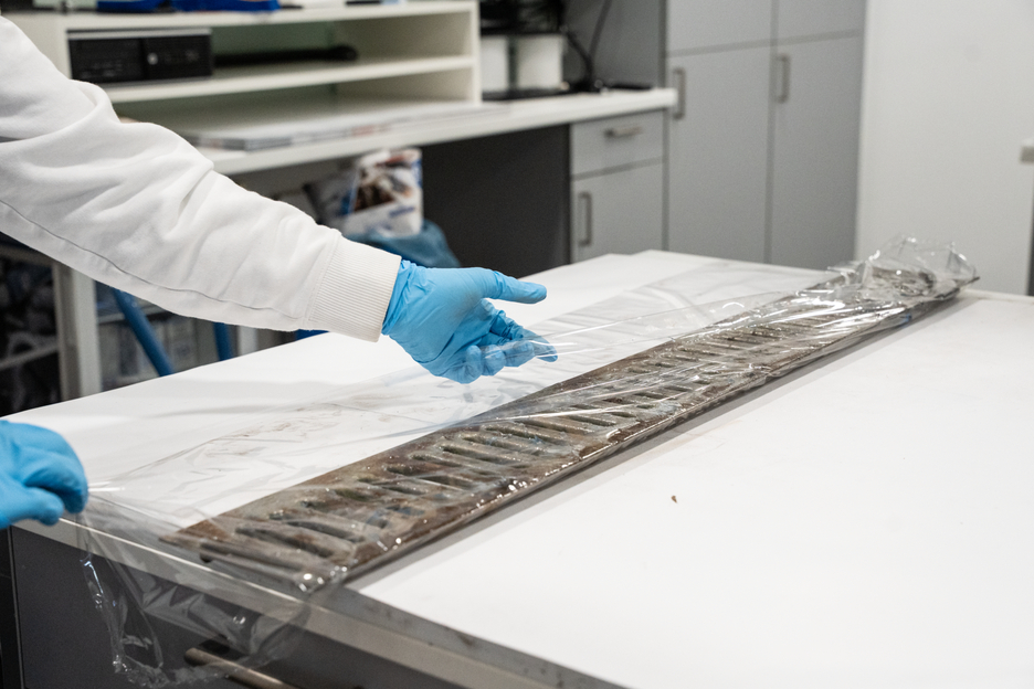 WEICON Décapant Rouille, Gel | Gel pour l'élimination rapide et fiable de la rouille et des couleurs de ternissement.