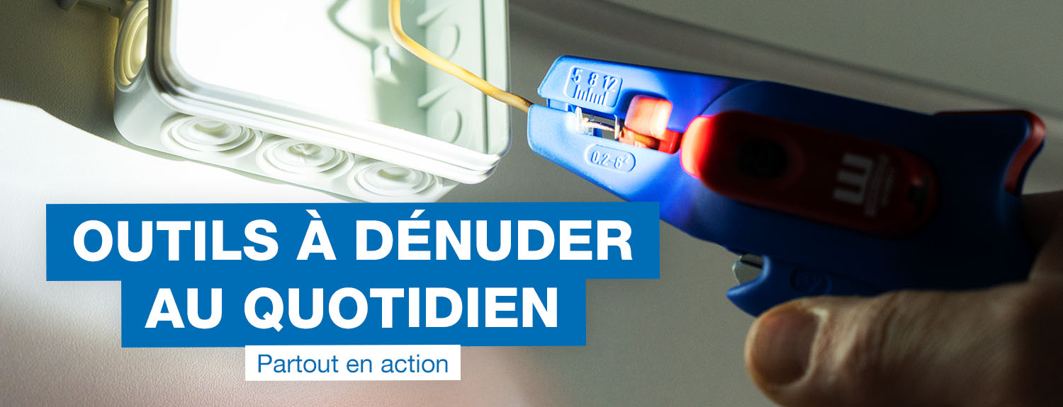 temporaire_tag, appears_to_be_zipped, outil_utilitaire, outil_marque, poignee_bleue